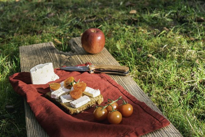 Outdoor meal on grass in sunlight