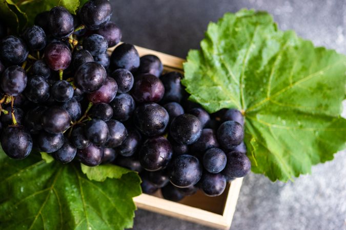 Box of delicious fresh red grapes with leaves on counter