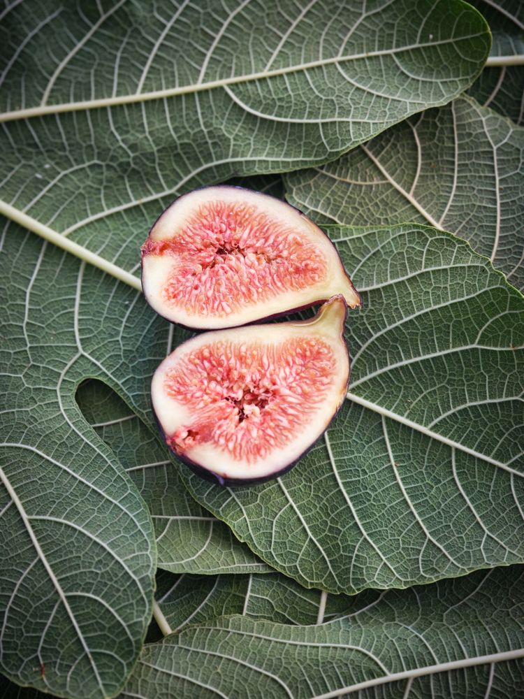 Piled leaves with fig on top