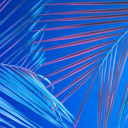 Tropical leaves in bold pink and blue gradient holographic neon colors on bright blue background