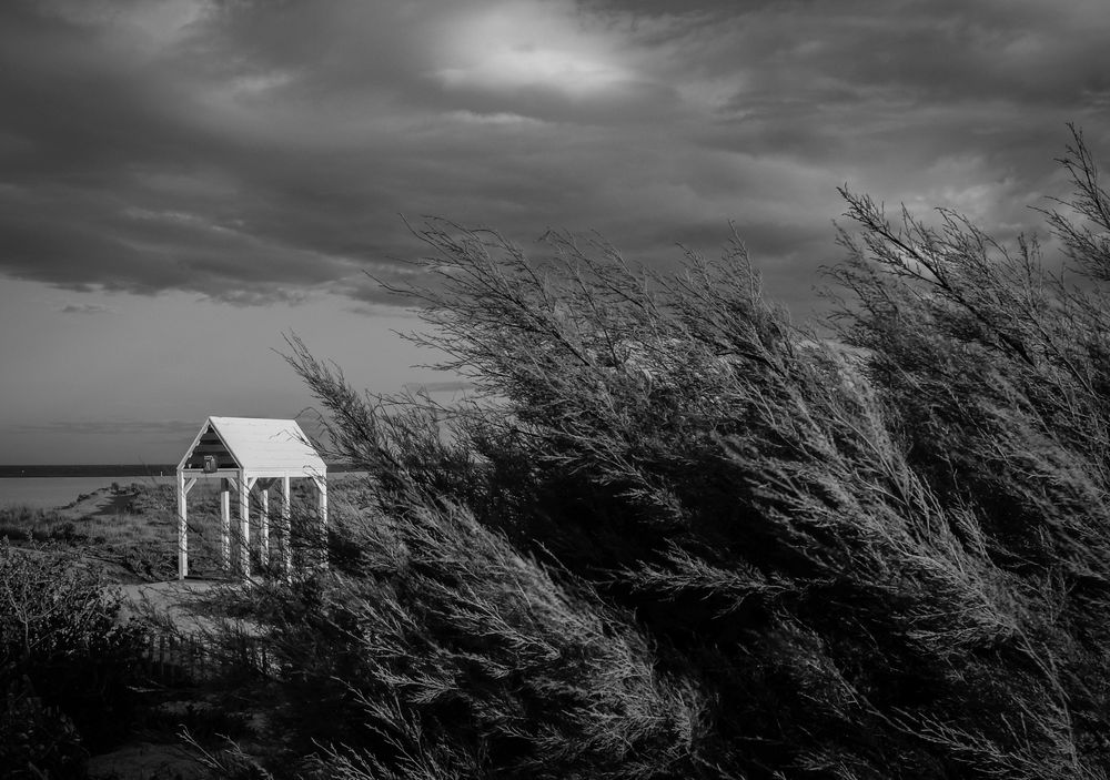 Gazebo near the beach, monochrome