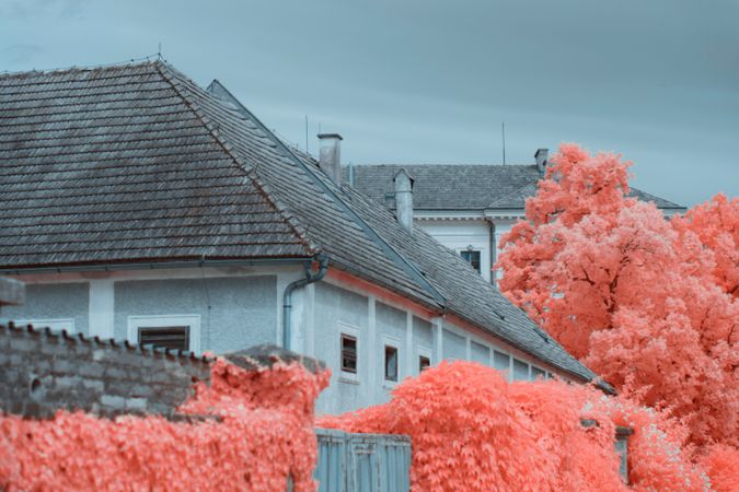 Infrared trees near suburban houses
