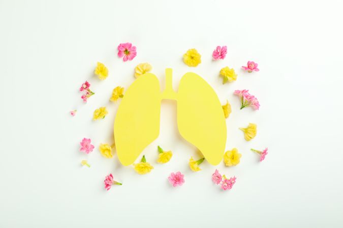Yellow lungs surrounded with flowers