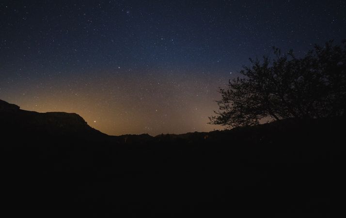 Mountain and trees during starry night