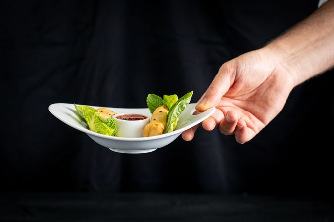 Person holding plate with chili sauce and Vietnamese rolls with green