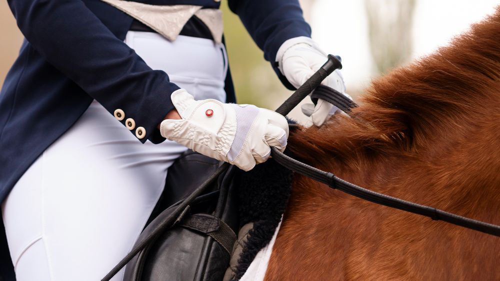 Equestrian in formal attire riding a chestnut horse.