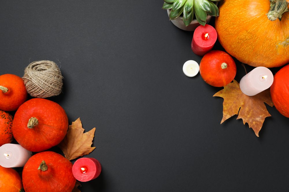 Composition with pumpkins, leaves and succulent on dark background, copy space