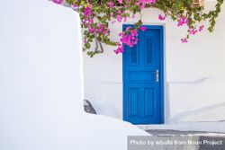 Blue door with an overhang of pink flowers 41Dm75