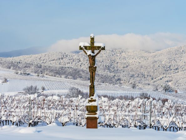 Alsace vineyards under heavy snow on a sunny winter day. Details and top view.