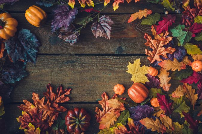 Border of autumn and Halloween items with various leaves and pumpkins