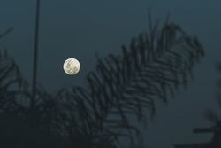 Full moon on dark gray sky at night