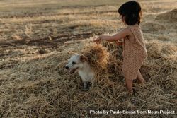 Girl playing with dog putting hay on its back 0W6QPb