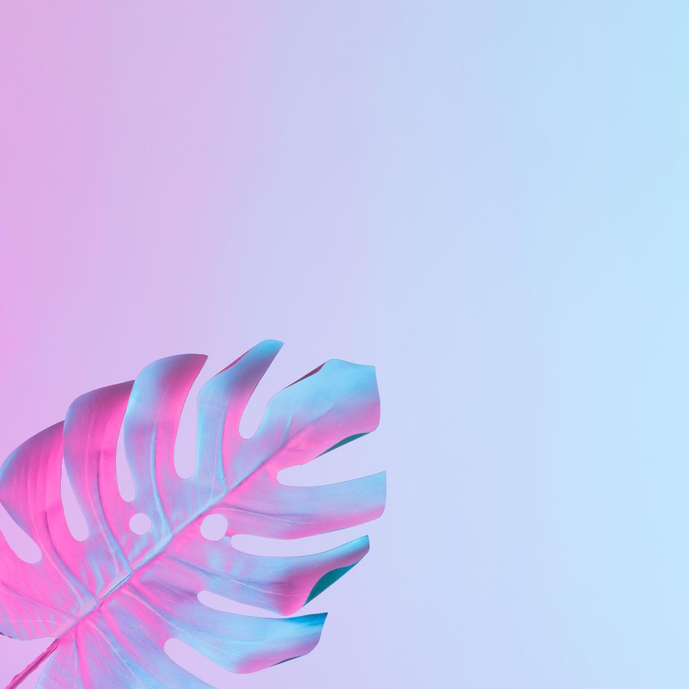 Pastel Aesthetic Wallpaper And Blue Pink Leaves Background