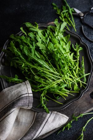 Healthy food plate with fresh arugula leaves