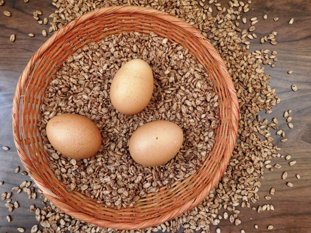 eggs