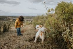 Girl and dog on a walking trail