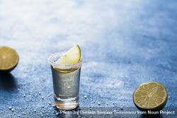 Shot of tequila with salt and lime 0Vv1j0