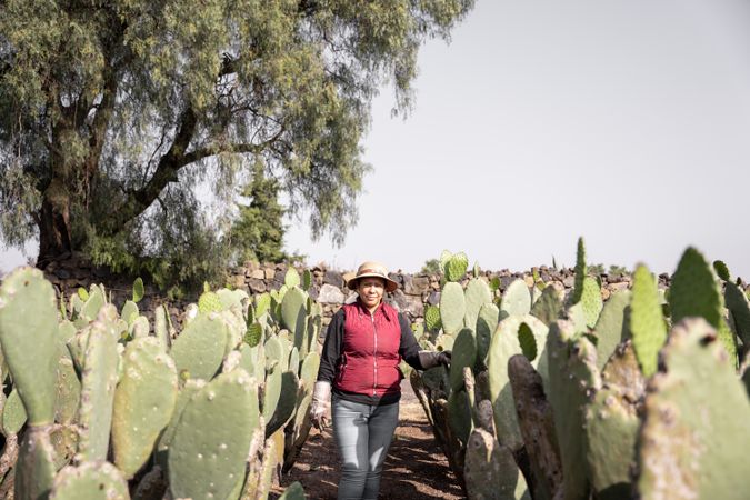 Portrait of an adult woman posing in a nopal field during the harvest