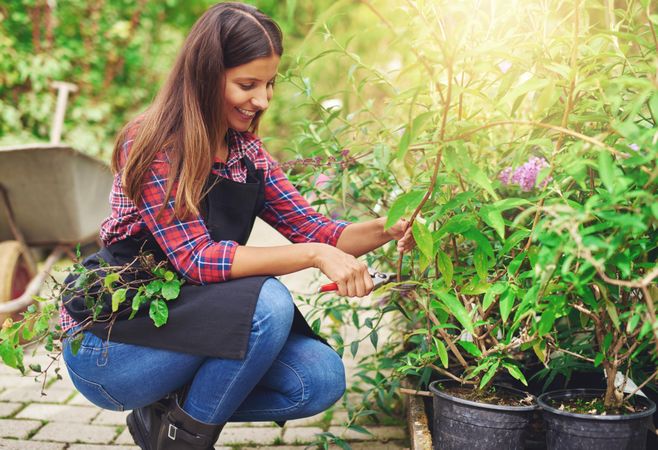 Smiling florist pictured pruning plants in her greenhouse