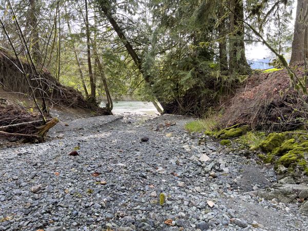 Dry creek bed stone pathway to main river surrounded by woods