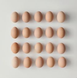 Rows of brown eggs on light background