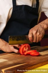 Cropped image of chef chopping tomato 5lKZe0