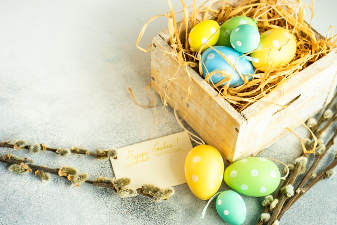 Easter holiday concept with crate of pastel eggs in straw with pussy willow and copy space