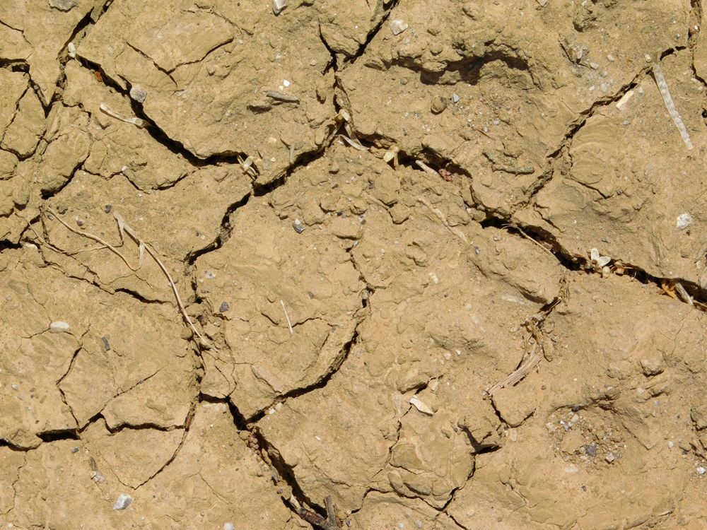 arid land