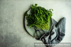 Arugula leaves on plate with copy space 0yX9BO