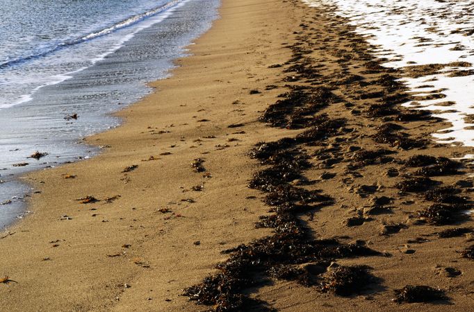 snow covering wet sandy shore on sunny day in beach