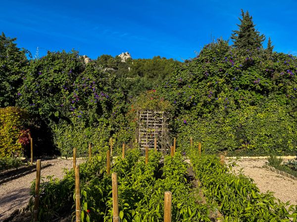 Herb, vegetable and fruit garden in the Baux-de-Provence