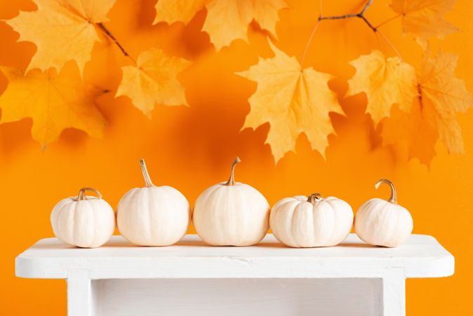 Light pumpkins in a row on orange background with fall leaves
