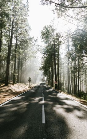 Asphalt road in foggy forest