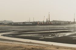 Industrial landscape with sea bay and port cranes