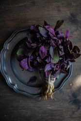 Healthy food concept with fresh purple basil on dark plate