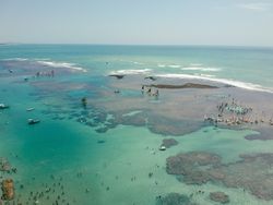 Sailboats & people in the waters of Porto de Galinhas