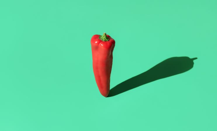 Sweet red pepper in bright light minimalist on a green background