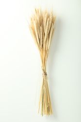Top view of bunch of dried flowers bonded with yarn
