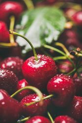 Freshly washed batch of cherries, close up of one with stem, vertical composition