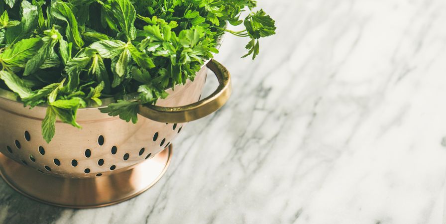 Colander full of fresh green herbs, horizontal composition, copy space