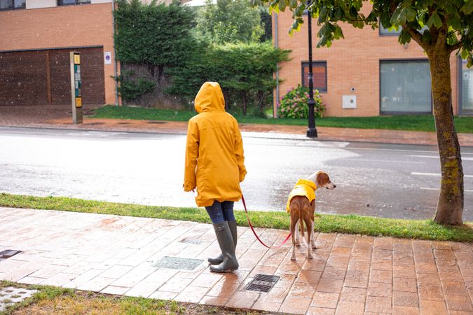Woman walking with dog in cloak in street