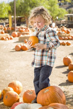 Little Boy Holding His Pumpkin Walking at a Pumpkin Patch