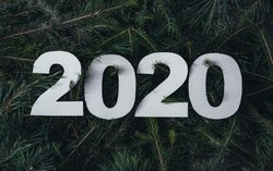 “2020” on pine branch background