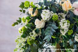 Close up of wedding floral arrangement 0Pjjyr