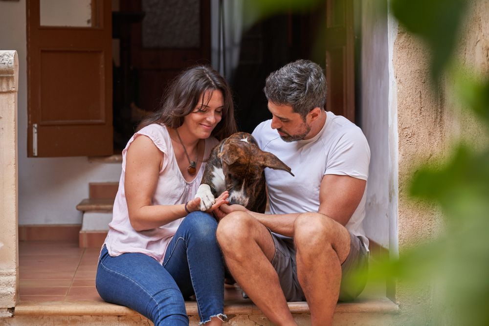 Happy couple caressing dog on porch of house