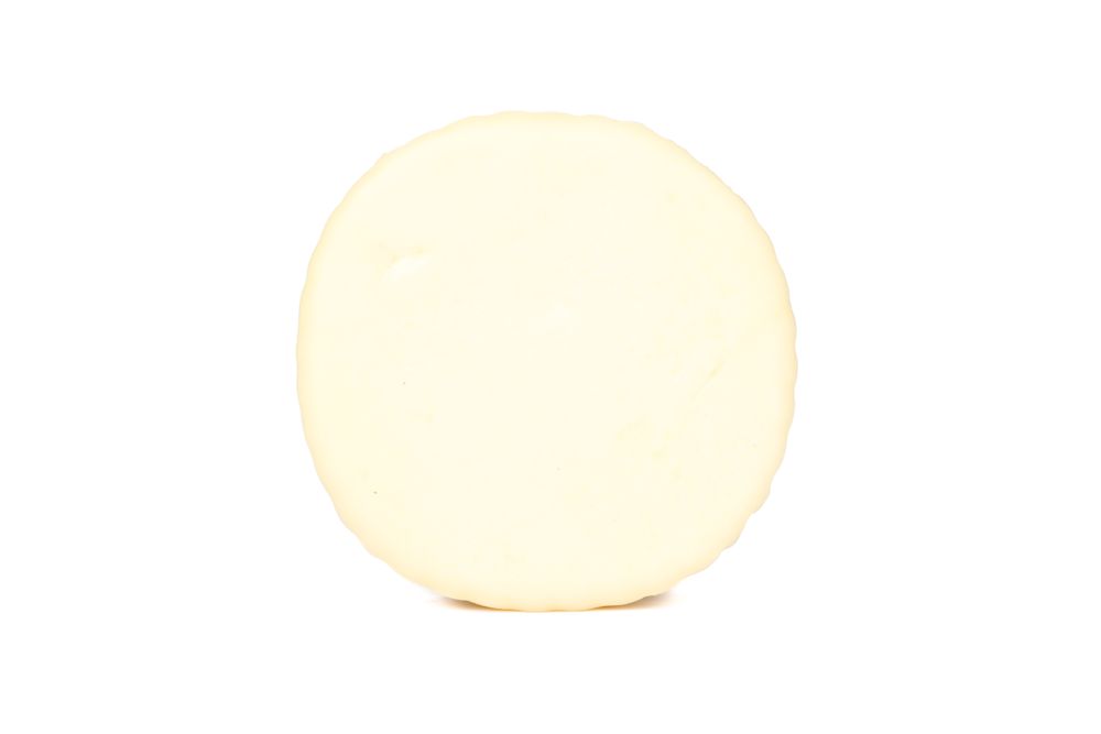 Delicious suluguni cheese isolated on plain background