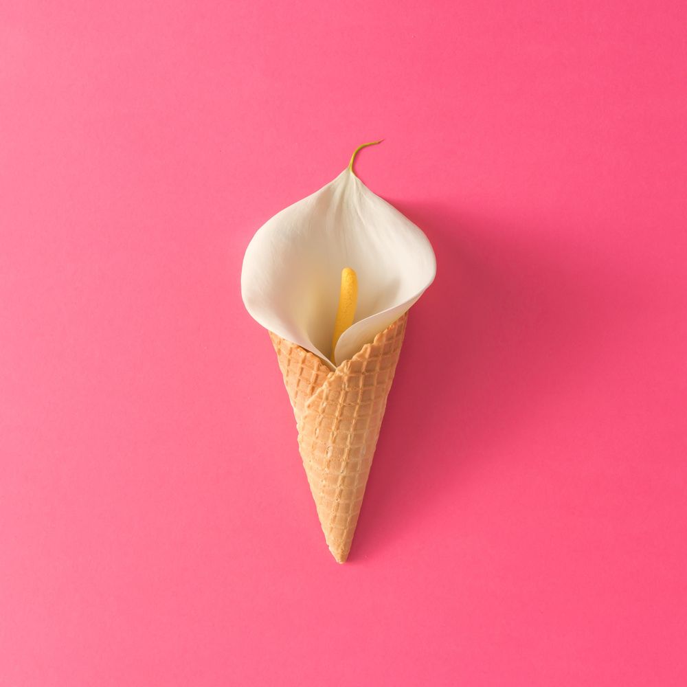 Ice cream cone with calla lily flower on pink background