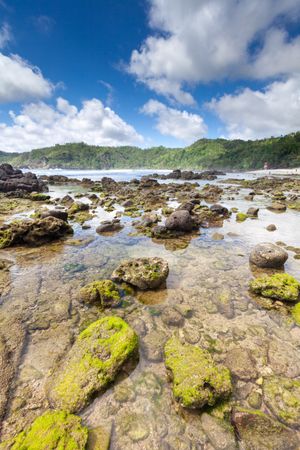 Coral Reef On The Beach