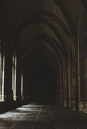 Amazing dark hall with high columns