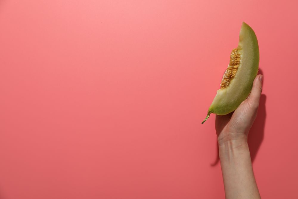 Juicy and tasty summer time fruit concept - melon